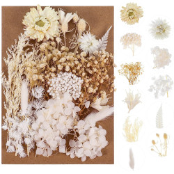 QINREN naturalne suszone kwiaty, prawdziwe kwiaty prasowane DIY dla rzemiosła, dla sztuki, majsterkowania, żywicy, scrapbookingu, rękodzieła,